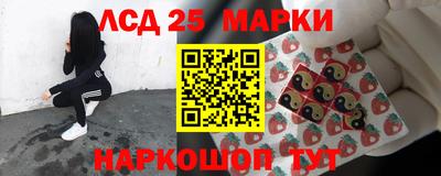 PSILOCYBIN Донской